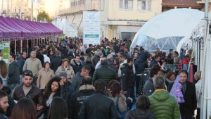 YMF aprile 2016 area med