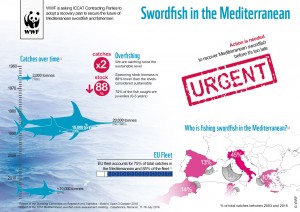 Swordfish_008