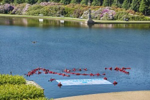 50 Greenpeace activists demonstrate for the protection of the oceans at the G20 Conference on Plastic Rubbish in Bremen. Representatives of the 20 most significant Industry and threshold countries meet to discuss ways to reduce the amounts of plastic rubbish in the oceans. 50 activists in bright red survival suits form the letters ‘ACT’ together with a floating banner saying “for plastic free oceans” in a lake near the conference venue. 50 Greenpeace-Aktivisten demonstrieren fuer den Schutz der Meere vor der G20-Konferenz zu Plastikmuell in Bremen. Vertreter der 20 wichtigsten Industrie- und Schwellenlaender diskutieren auf Einladung der Bundesregierung Wege, wie sich die wachsende Menge Plastikmuell in den Meeren reduzieren laesst. Im See vor dem Tagungshotel formen die Aktivisten in Ueberlebensanzuegen schwimmend das englische Wort „ACT“ mit einem schwimmenden Banner "For Plastic-Free Oceans" (fuer plastikfreie Meere)