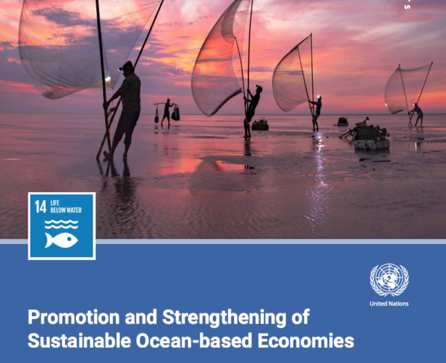 LANCIO DELLA PUBBLICAZIONE UNDESA “PROMOZIONE E RAFFORZAMENTO DELLE ECONOMIE SOSTENIBILI BASATE SULL’OCEANO”