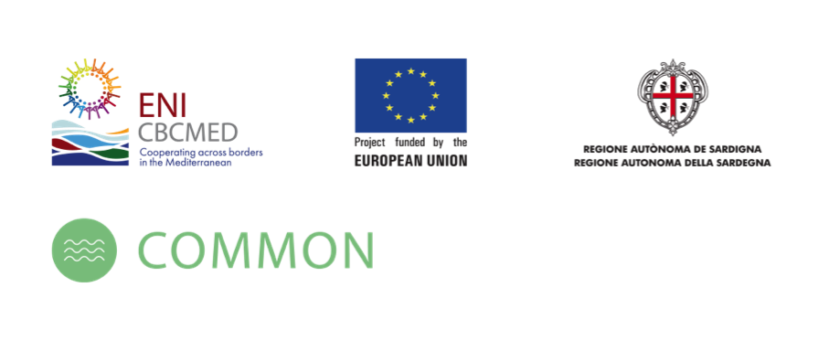 Giornata mondiale degli Oceani, Legambiente presenta i dati sulla Clean Up The Med