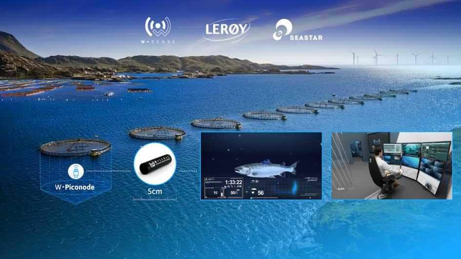 Economia del mare : SEASTAR porta la digitalizzazione sott’acqua per un’acquacoltura sostenibile