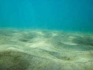 Economia del mare in Italia