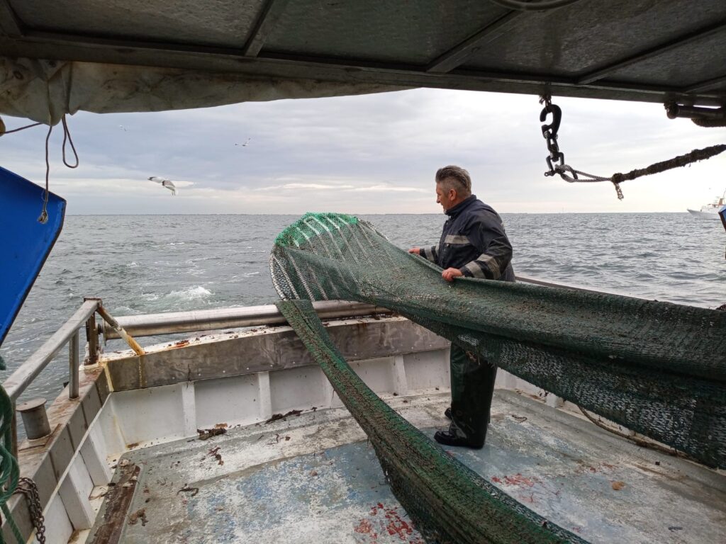 Conclusa con successo la sperimentazione delle griglie di esclusione nella pesca a strascico