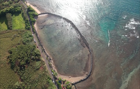 Prateria blu