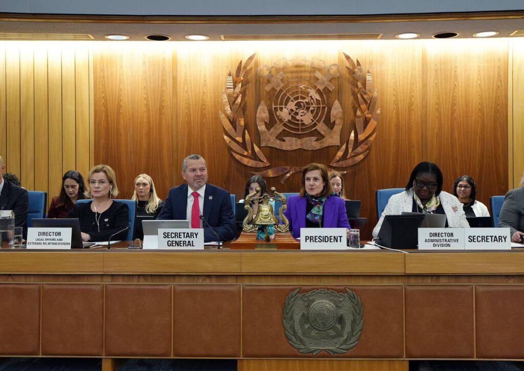 IMO Capacity Development Strategy