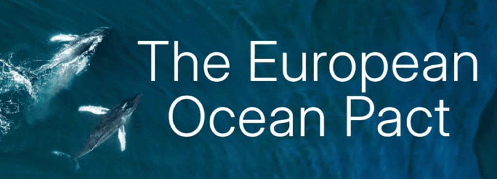 Commissione europea