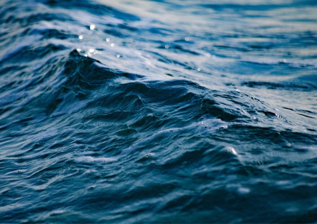 European Ocean Days