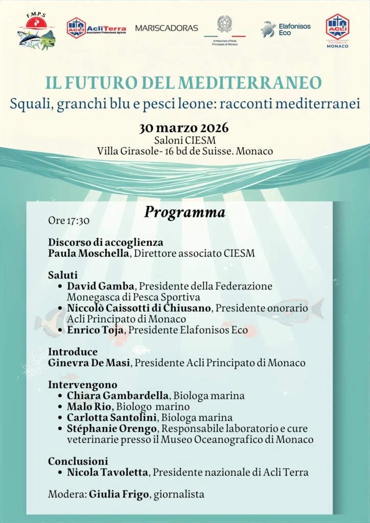 Ecosistemi marini