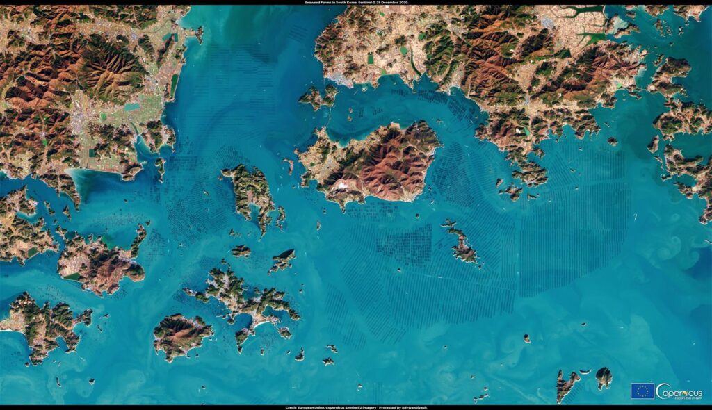 bioeconomia marina