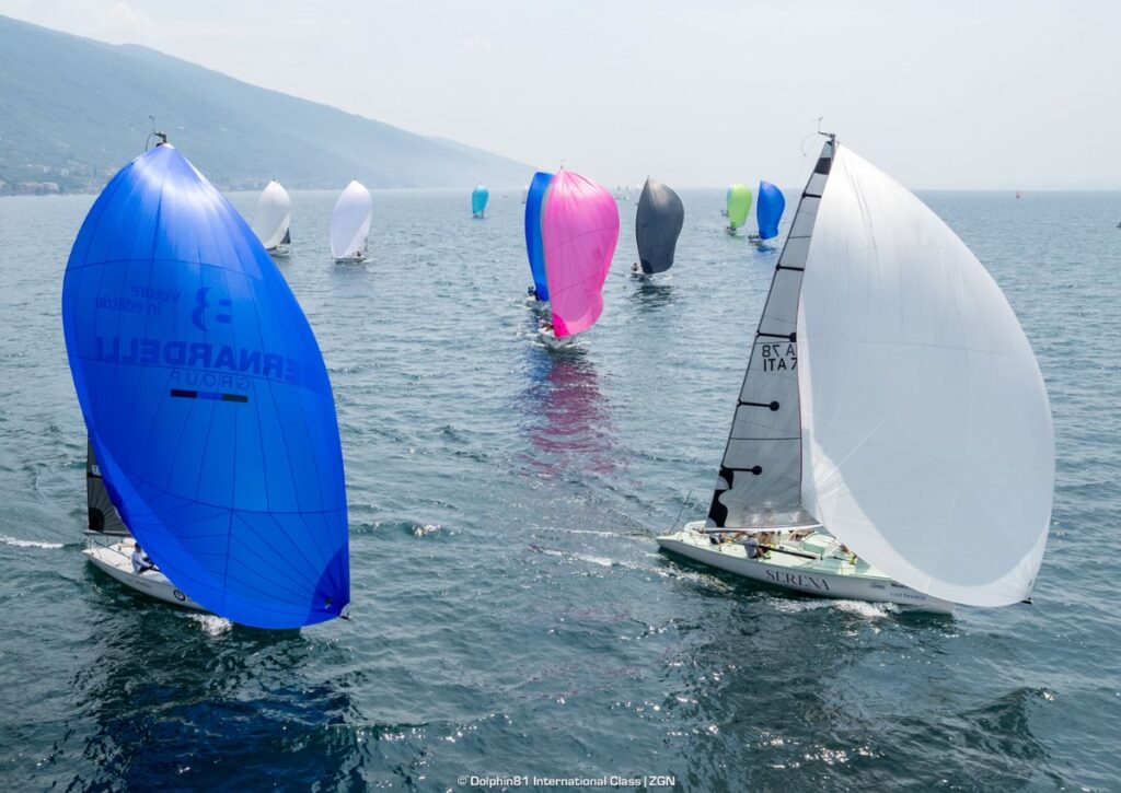 Campionato Italiano Dolphin 2026