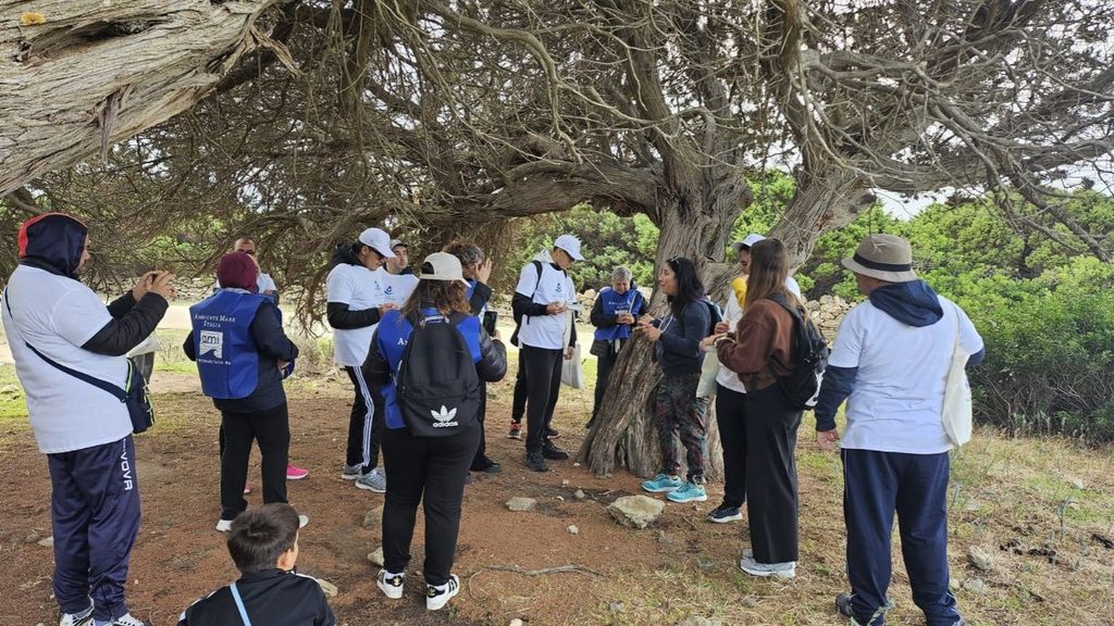 Gruppo di persone riunite sotto un grande albero durante un’attività all’aperto